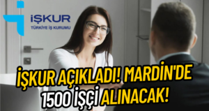 İŞKUR Başvurusu…